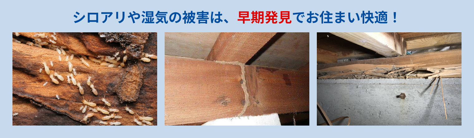 シロアリや湿気の被害は、早期発見でお住まい快適！