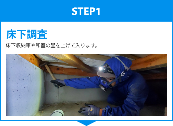 床下調査