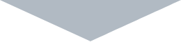 セクション